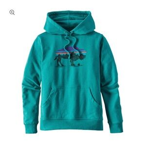 PATAGONIA Fitz Roy Bison Hoody Womens Sz Small Teal (1st stock pic actual color)